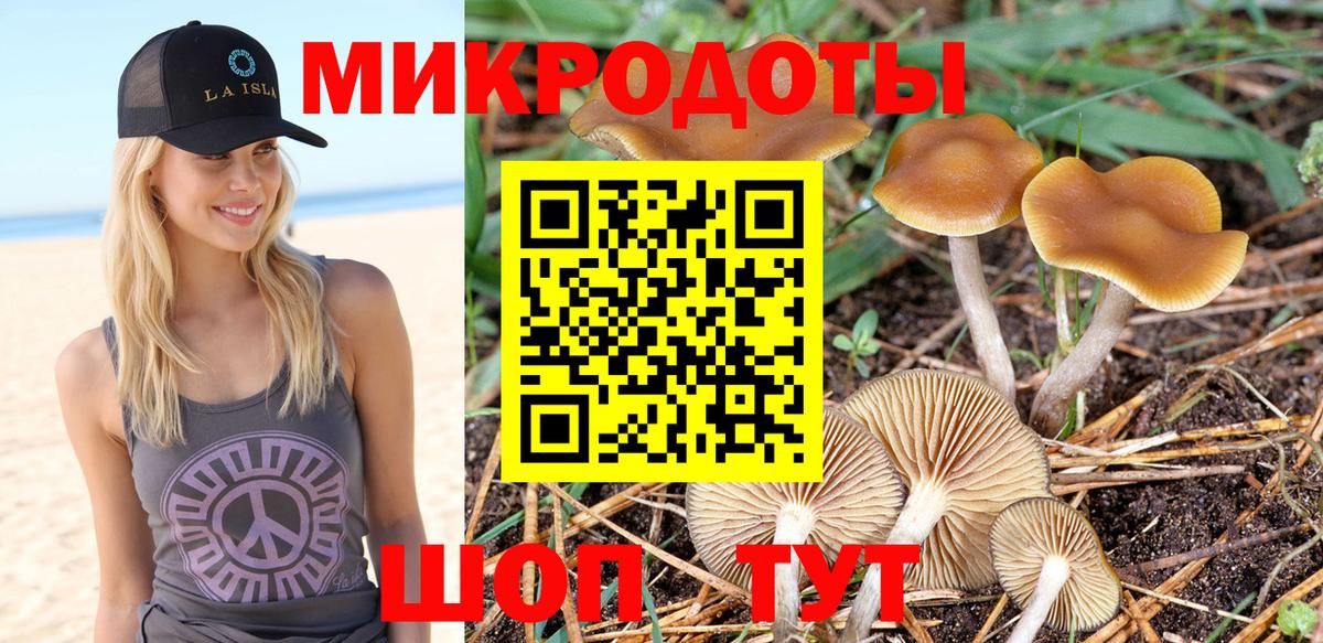 Псилоцибиновые грибы GOLDEN TEACHER  Галлюциногенные грибы GOLDEN TEACHER  Вход с VPN  Липецк 