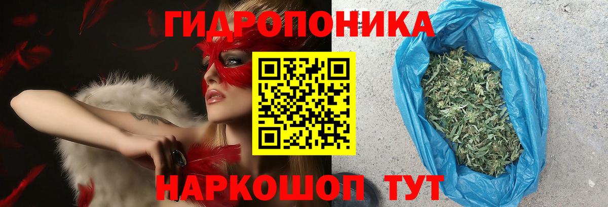 МЕФ Липецк